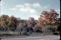 LB Scenic Fall  view of Wm Blair property